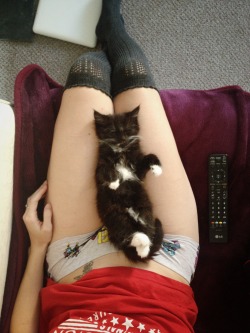 kitty-in-training:  How every morning should be spent.