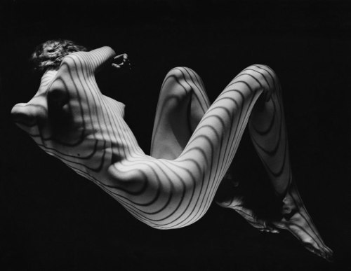 Fernand Fonssagrives,  Contours, c. 1954-58