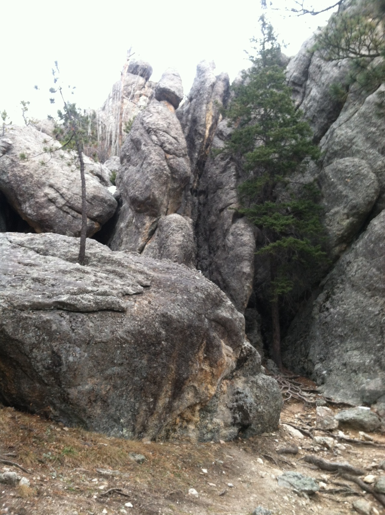 oh-haroo:  Follow me for more vertical nature and landscape!