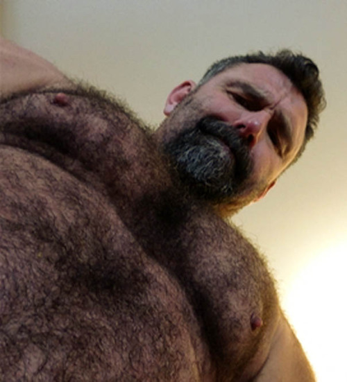 thebearunderground: Best in Hairy Men since 201061k followers and 81k posts