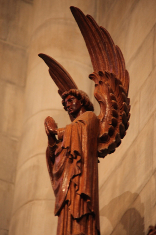 Carved wooden angel at the Washington National Cathedral in Washington, D.C; Photograph by Tim Evans