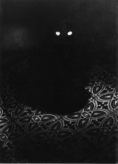 snowce:Brassai, Le Chat, Paris de Jour, 1945