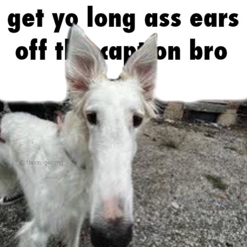 Based On This