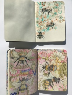 xeptum: Bee journals 🐝
