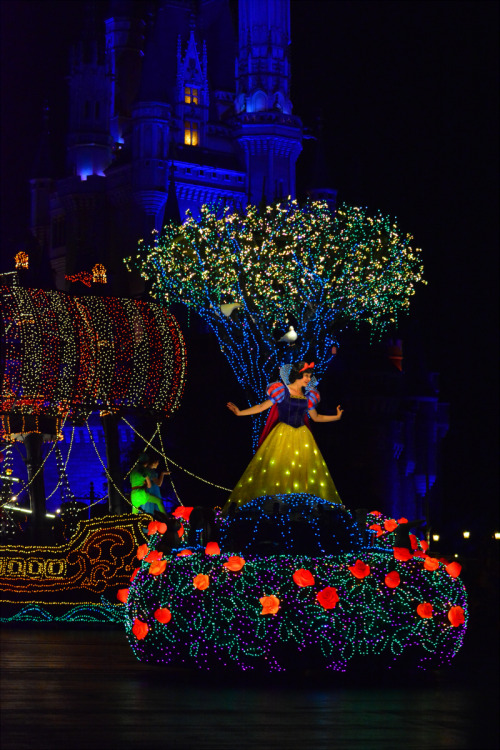 2015/05/31Tokyo Disney LandElectrical Parade