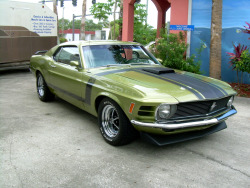 Peteatpt:  1970 Mustang Boss 302