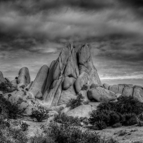 russmosis:Among Friends…The granites of Joshua Tree are beautiful&hellip;but of course&hellip;you’ll