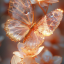 justabutterflyy