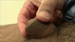 braziliansmall:  Delicate dicklet. Cute and delicate manclit…
