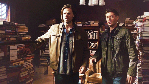 spiceberrysun: 4.22 and 8.21 Parallels