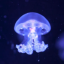 eldritch-horror-in-training