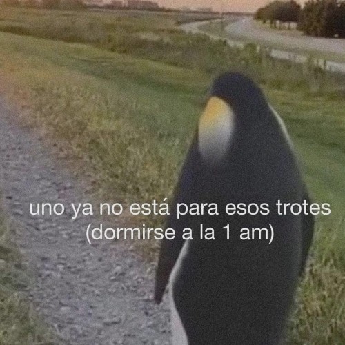 chorlyy