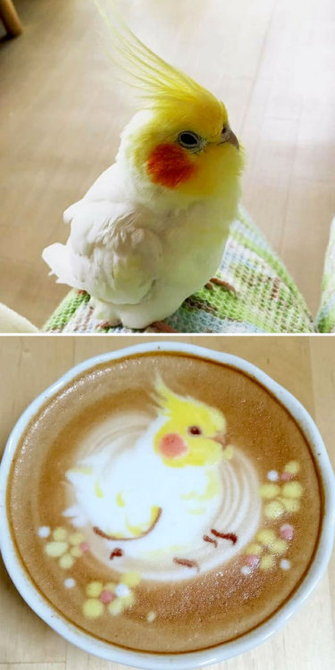 garland-on-thy-brow: nae-design: Stunning froth masterpieces by latte artist Ku-san @catullan