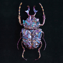 itscolossal:Beetle Sculptures Encrusted with