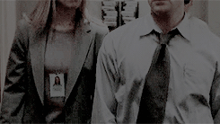 toxic-swan:  get to know me meme: [9/?] otps ♡ ↳ josh lyman and donna moss (the