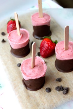 Quelloras:  Foodopia:  Chocolate Covered Strawberry Popsicles  &Amp;Ldquo;Jayy, I