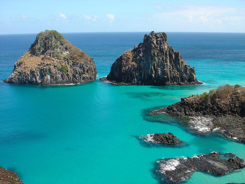 tropical-2610:  tigers-vibe:  ☼  more tropics here ✌️