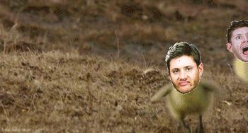 sadako-xd:  My (personal) favorite Supernatural-Fun-Gifs PART 7 :) » Part 1 » Part 2 » Part 3 » Part 4 » Part 5 » Part 6