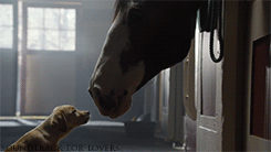 missbackwoodsbarbie:  Makes me tear up EVERY time !! 