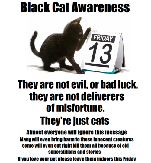 catsbeaversandducks:This is VERY serious. Please keep you black cats inside this Friday the 13th!Via