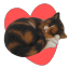 crittershaped