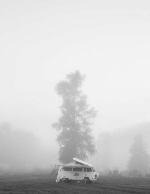 Shambhala Festival By Patrick Latter Photography