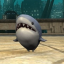 silysleepyshark