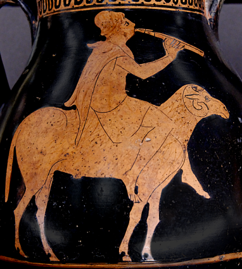 A shepherd rides a ram while playing the aulos (double-flute).  Side A of an Attic red-figure pelike