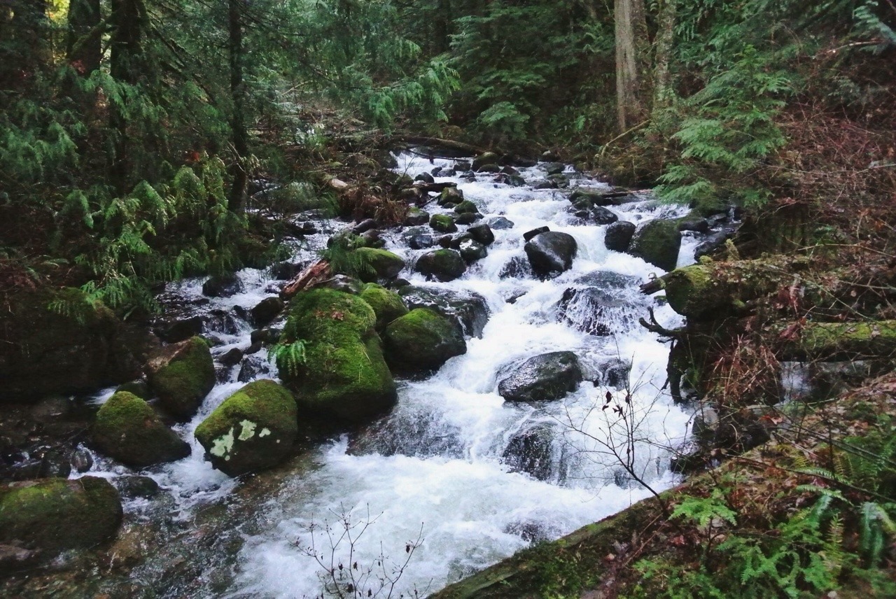 0nism:  Took advantage of the sunny break, got a little muddy and hiked 10km through