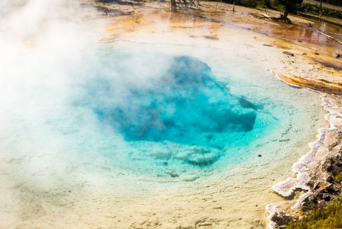 shutterandsentence:Twenties Travels- 2014Photo: Yellowstone National Park, Wyoming