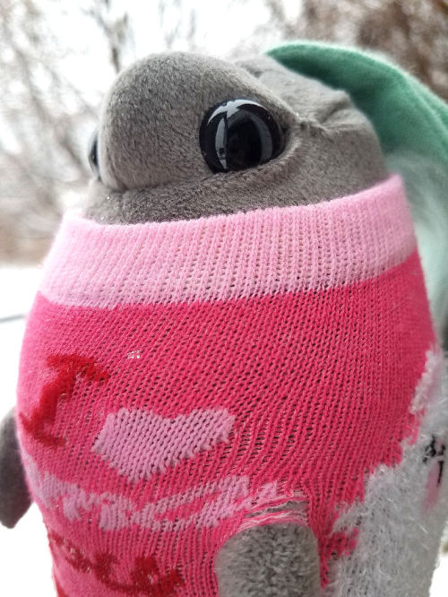 rootedincuteness:Ashleaf braved the cold for a little bit today to catch some snowflakes on her leaf