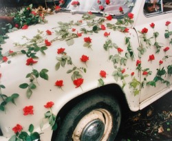 ghosts-in-the-tv:  “A Decorated Car in the Flower Market, Calcutta”, Leo Rubinfien, (1986) 