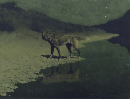 Moonlight Wolf, Frederic Remington, Circa 1909.