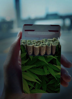 marijuanacrops:  Get me a pack of these 