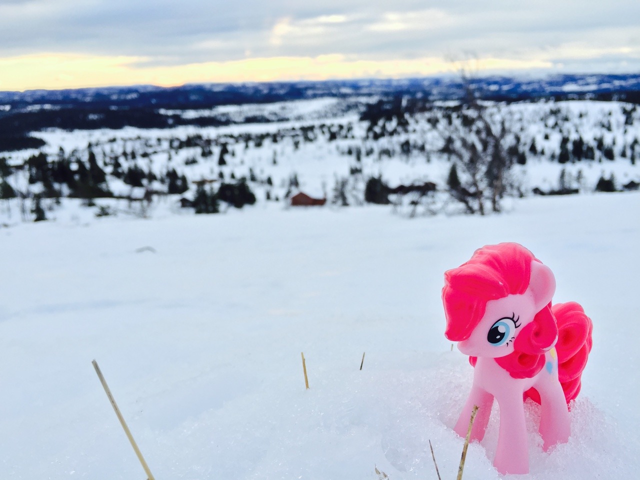 celestia-stuff:  Happy New year!!!!!  Whatcha doin&rsquo; in da snow, Pinkie?