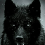b1ack-wolf