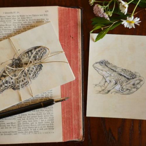 “Little Garden Friends&quot; a small collection of postcards / mini prints, new in my Etsy