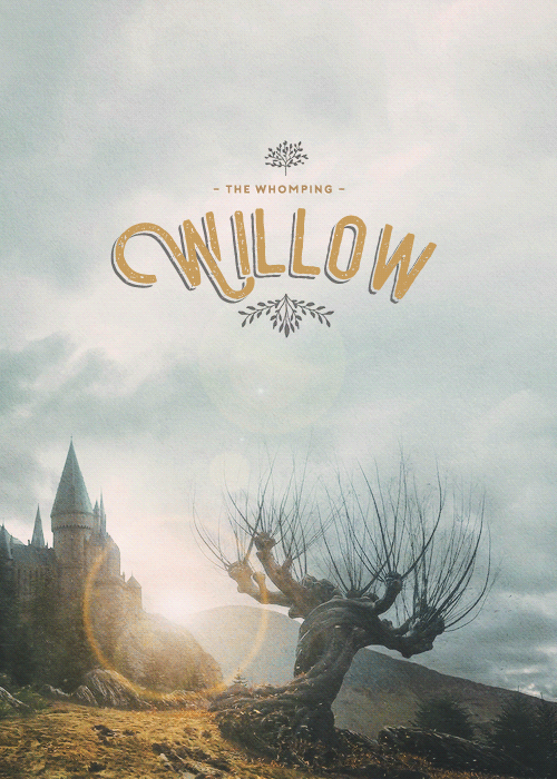 asheathes:Animated posters // (click to enlarge)