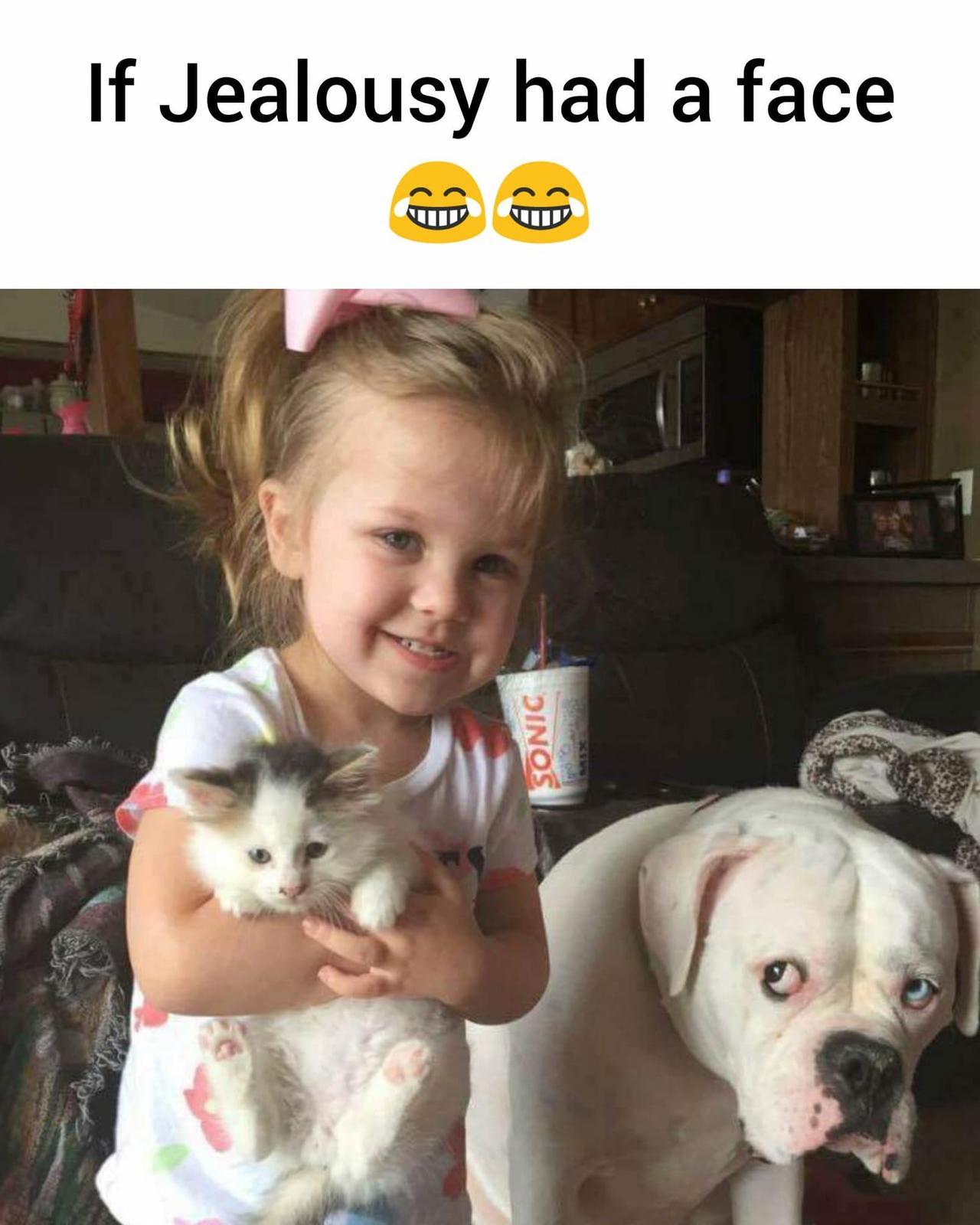 loloftheday:  I’m crying