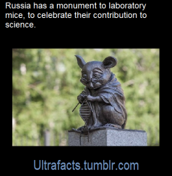 ultrafacts:  Source: [x] Click HERE for more facts 