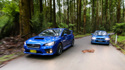 Driverdad:  Boxer Fightwe Pitted The All New 2014 Wrx Sti Against The 1999 Wrx Sti