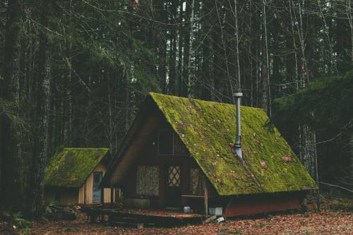 grace–upon–grace:  Natalie Wall