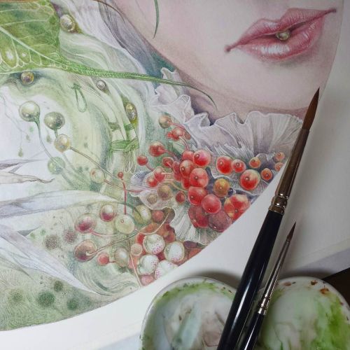 shadowscapes-stephlaw:Claire is calling these “pearlberries”