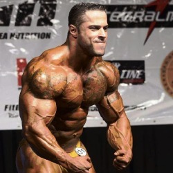 muscle-addicted:  Bruno Moraes Cunha