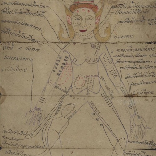 Detail from a Thai Medical Manuscript that has both medical diagrams and religious illustrations of 