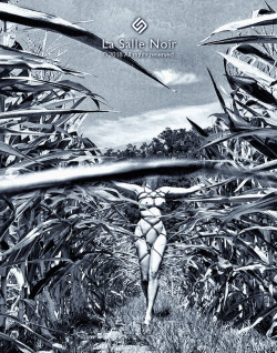 lasallenoir:  In The Corn Fields© by La