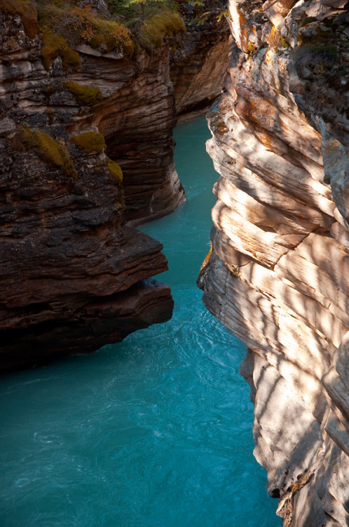 uchihaitachi:Athabasca Falls