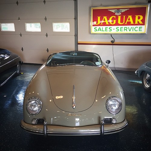 One of four Speedsters ever produced in Stone Grey. Serious, serious want. And yes those are Speedsters on either side, too (at Bridgehampton Motoring Club)