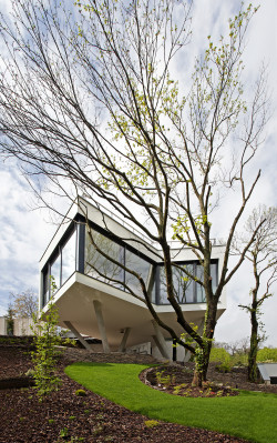 archatlas:  House Between The TreesSteep terrain with three robust chestnut trees, which owners decided to preserve. This is how the property on which a unique family house was to be built looked at the beginning. Architects from Šebo Lichýˈs atelier