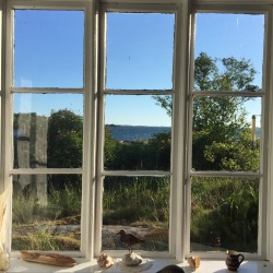 wilderflowers:the view from the summer house on the Baltic sea. wonderful way to escape